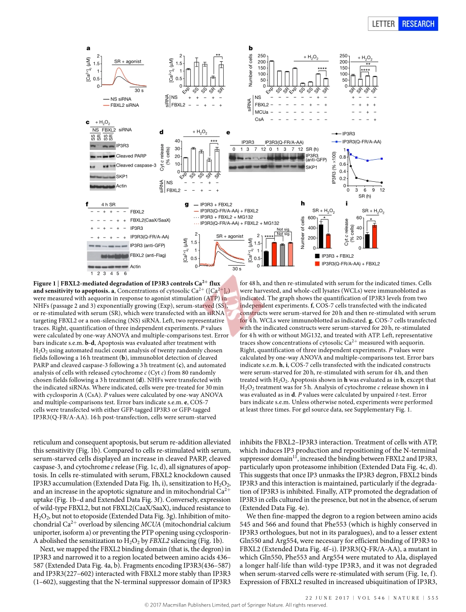 PMID：28614300.pdf_第2页