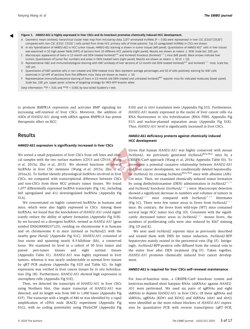 PMID：31334575.pdf_第3页