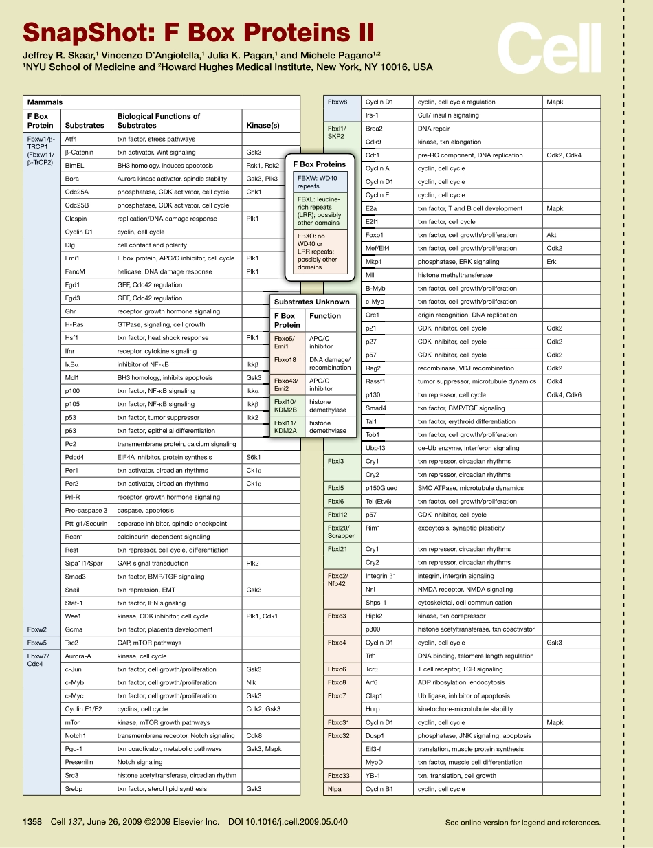 F Box Proteins II.PDF_第1页