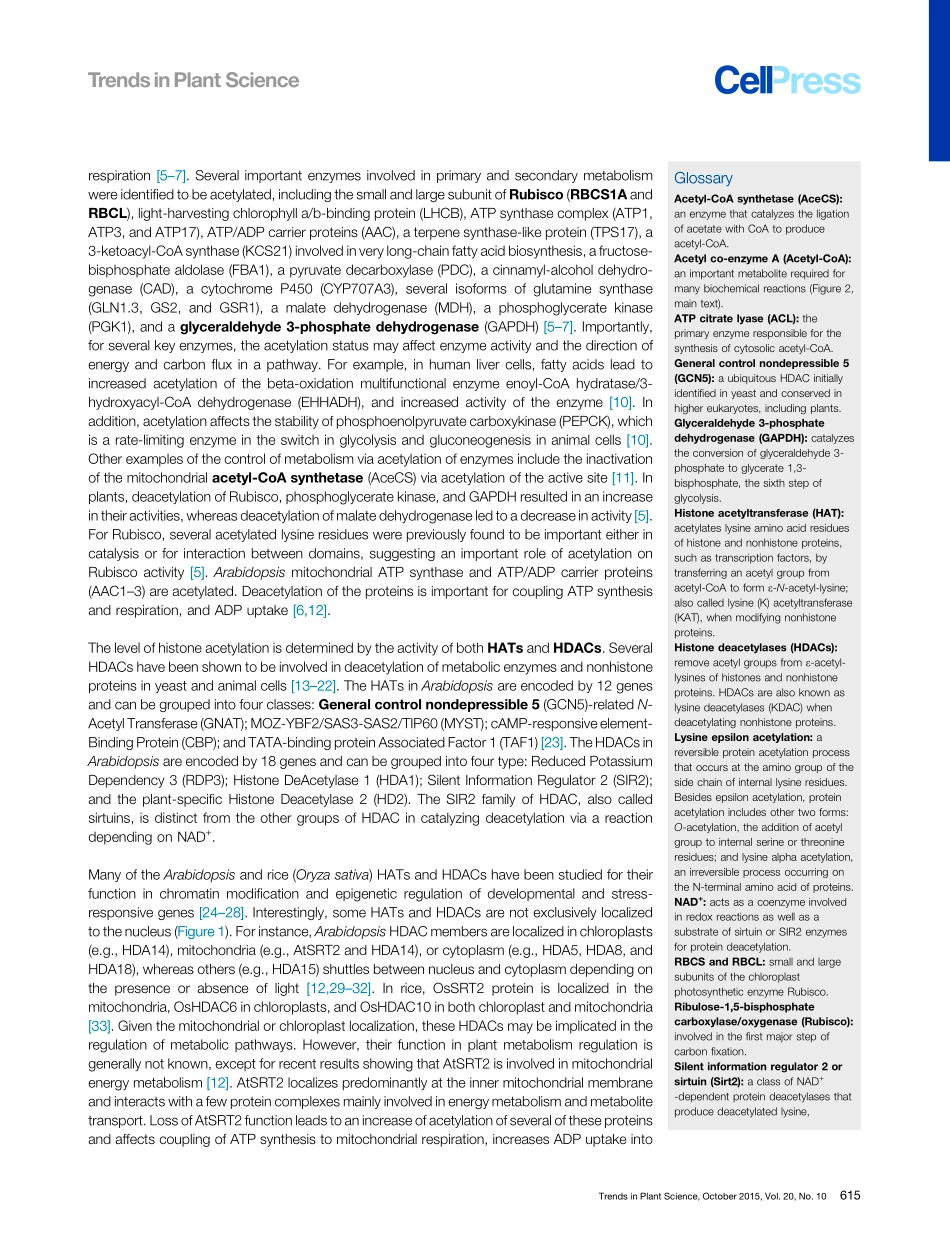 Histone Acetylation Enzymes Coordinate Metabol.pdf_第2页