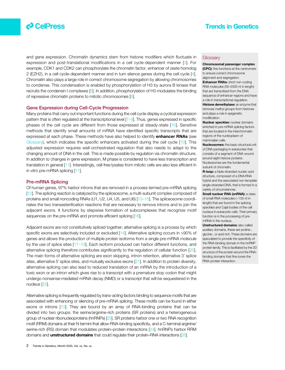 Splicing to Keep Cycling The Importance of Pre.pdf_第2页