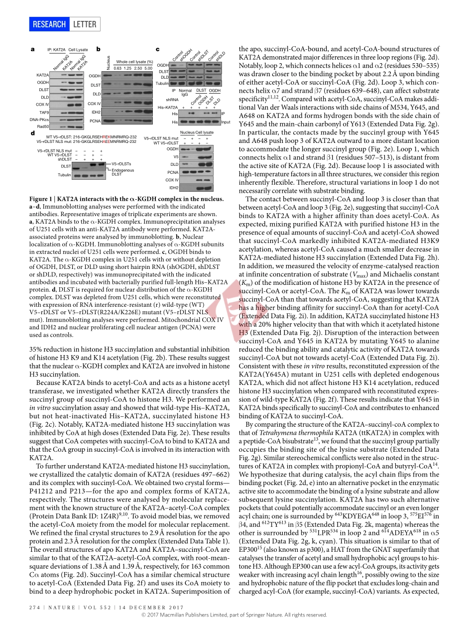 PMID：29211711.pdf_第2页