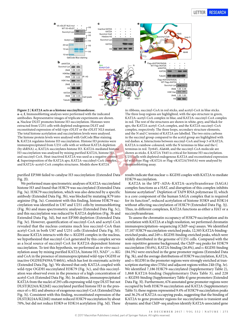 PMID：29211711.pdf_第3页