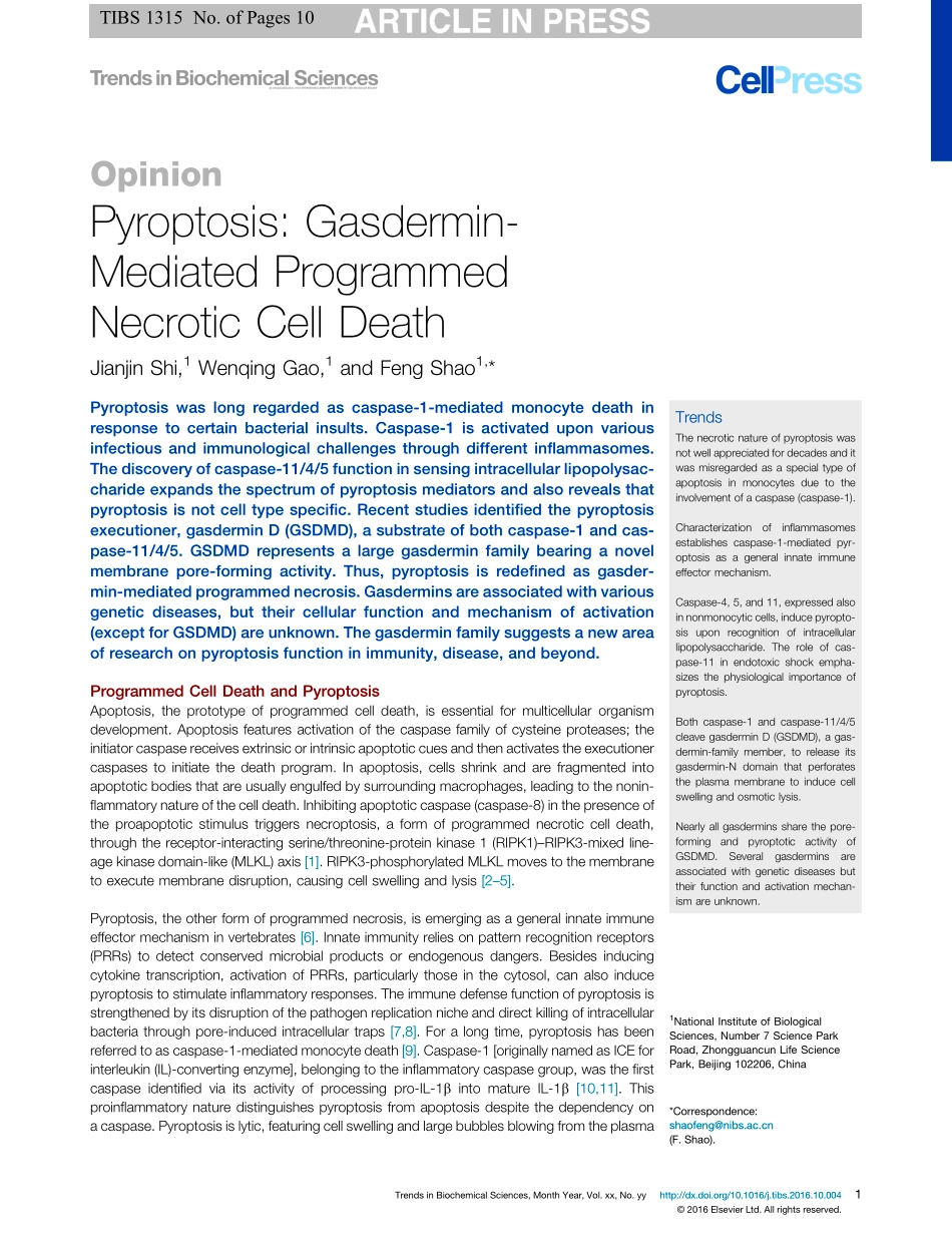 Pyoptosis Gasdermin-mediated Programmed Necrot.pdf_第1页