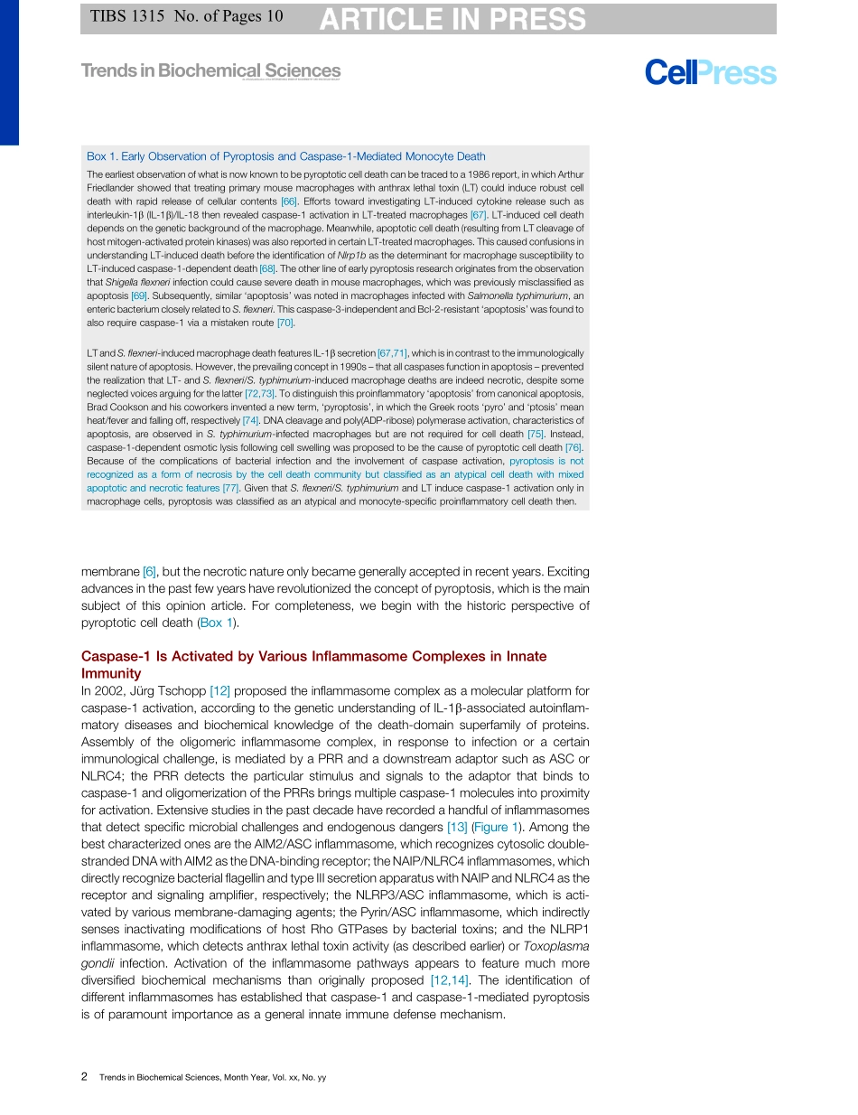 Pyoptosis Gasdermin-mediated Programmed Necrot.pdf_第2页