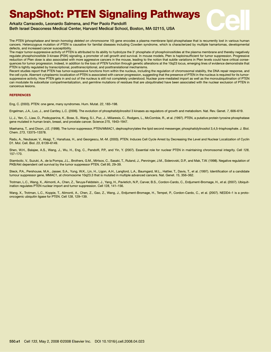 PTEN Signaling Pathways.pdf_第2页