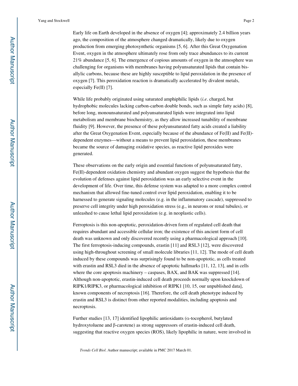 Ferroptosis-death by lipid peroxidation.pdf_第2页