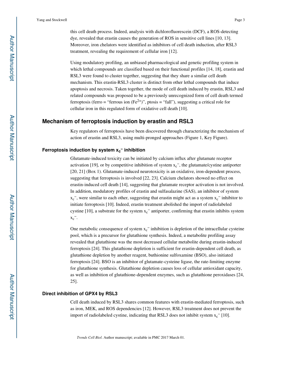 Ferroptosis-death by lipid peroxidation.pdf_第3页