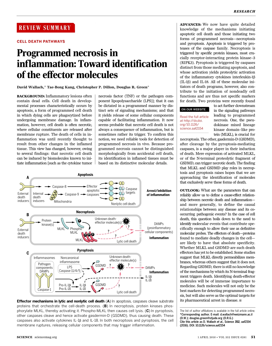 Programmed necrosis in inflammation- Toward identification of the effector molecules.pdf_第1页