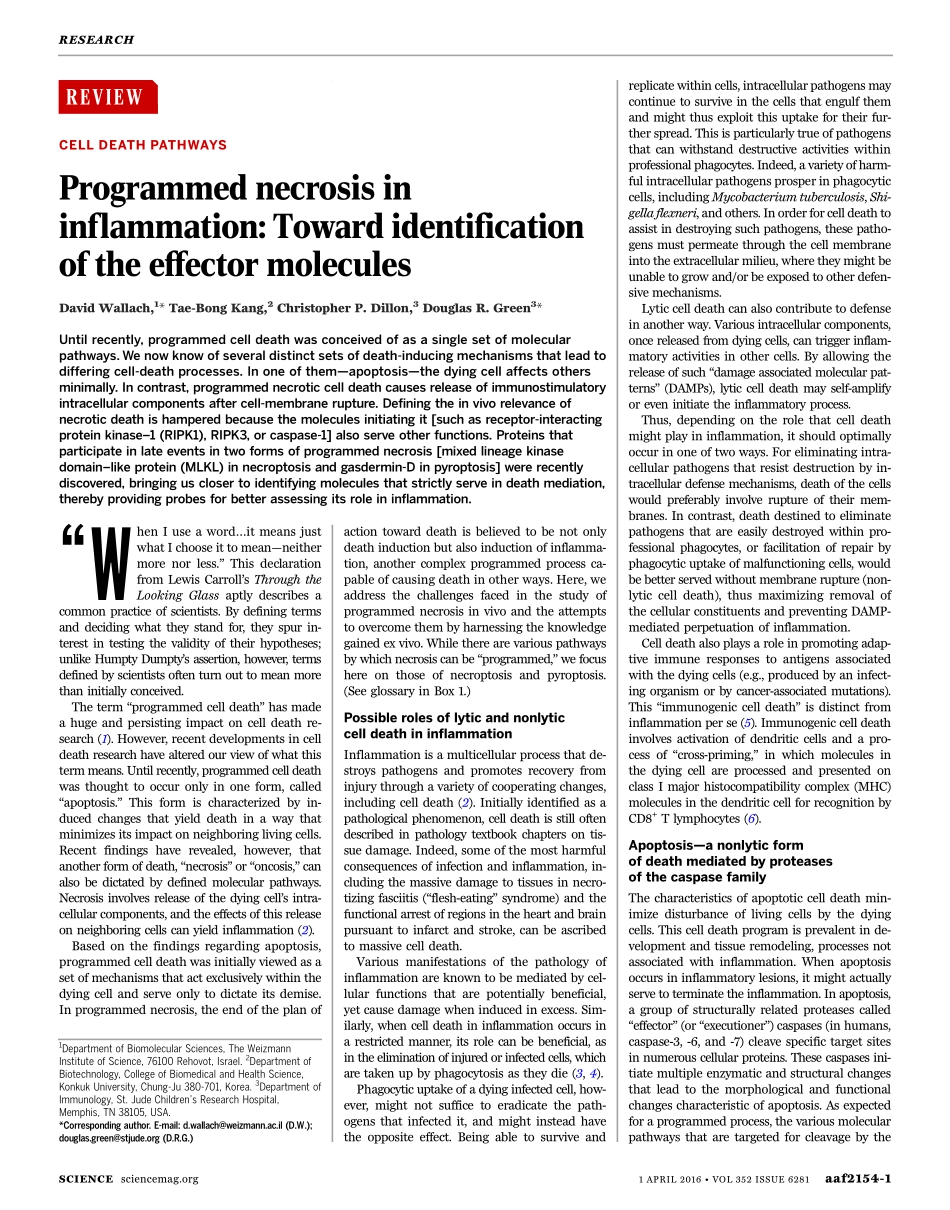 Programmed necrosis in inflammation- Toward identification of the effector molecules.pdf_第2页