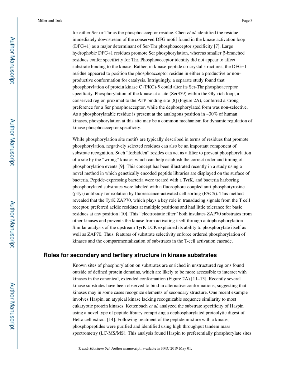 Homing in mechanisms of substrate targeting by.pdf_第3页