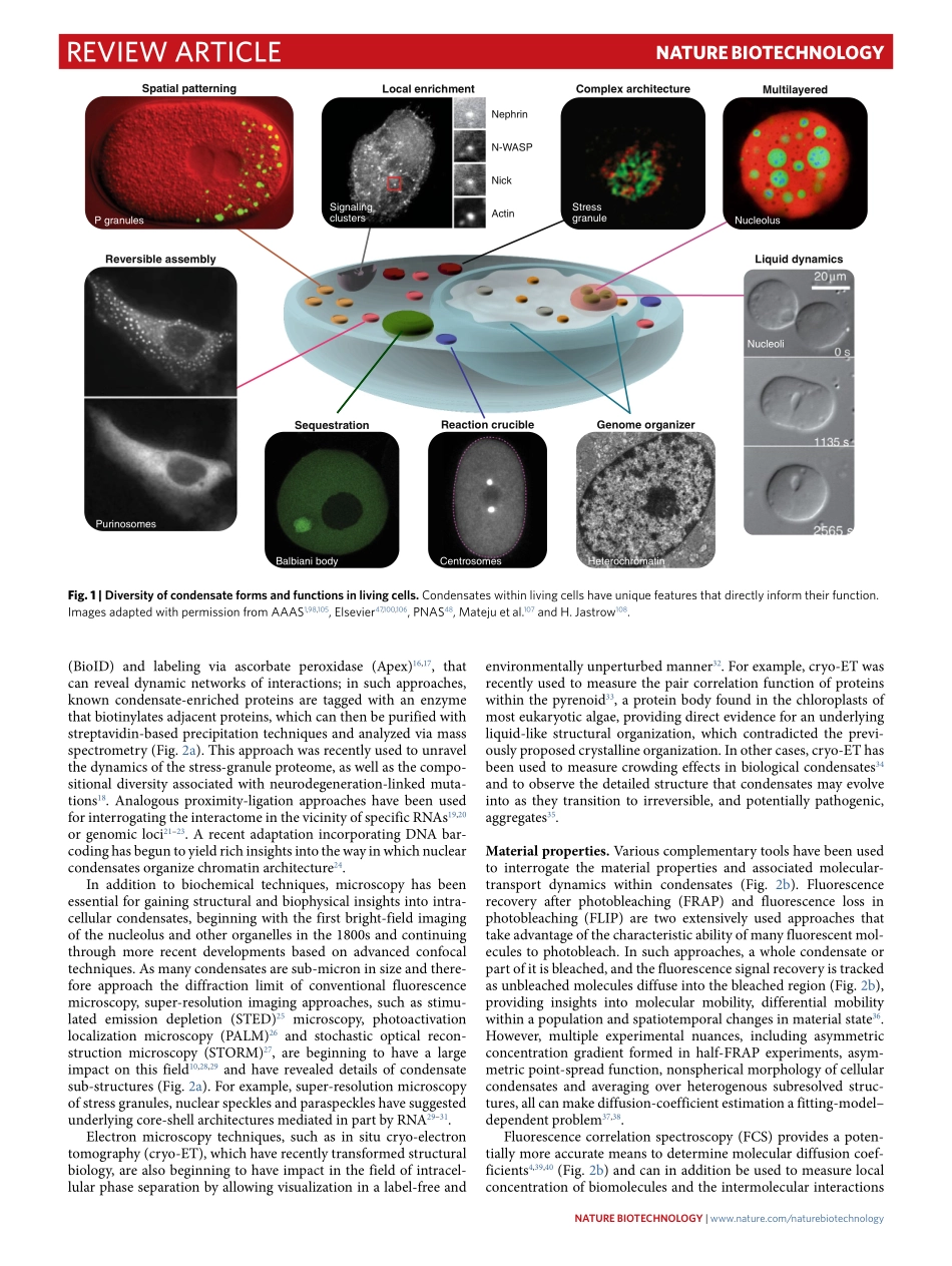 Probing and engineering liquid-phase organelle.pdf_第2页