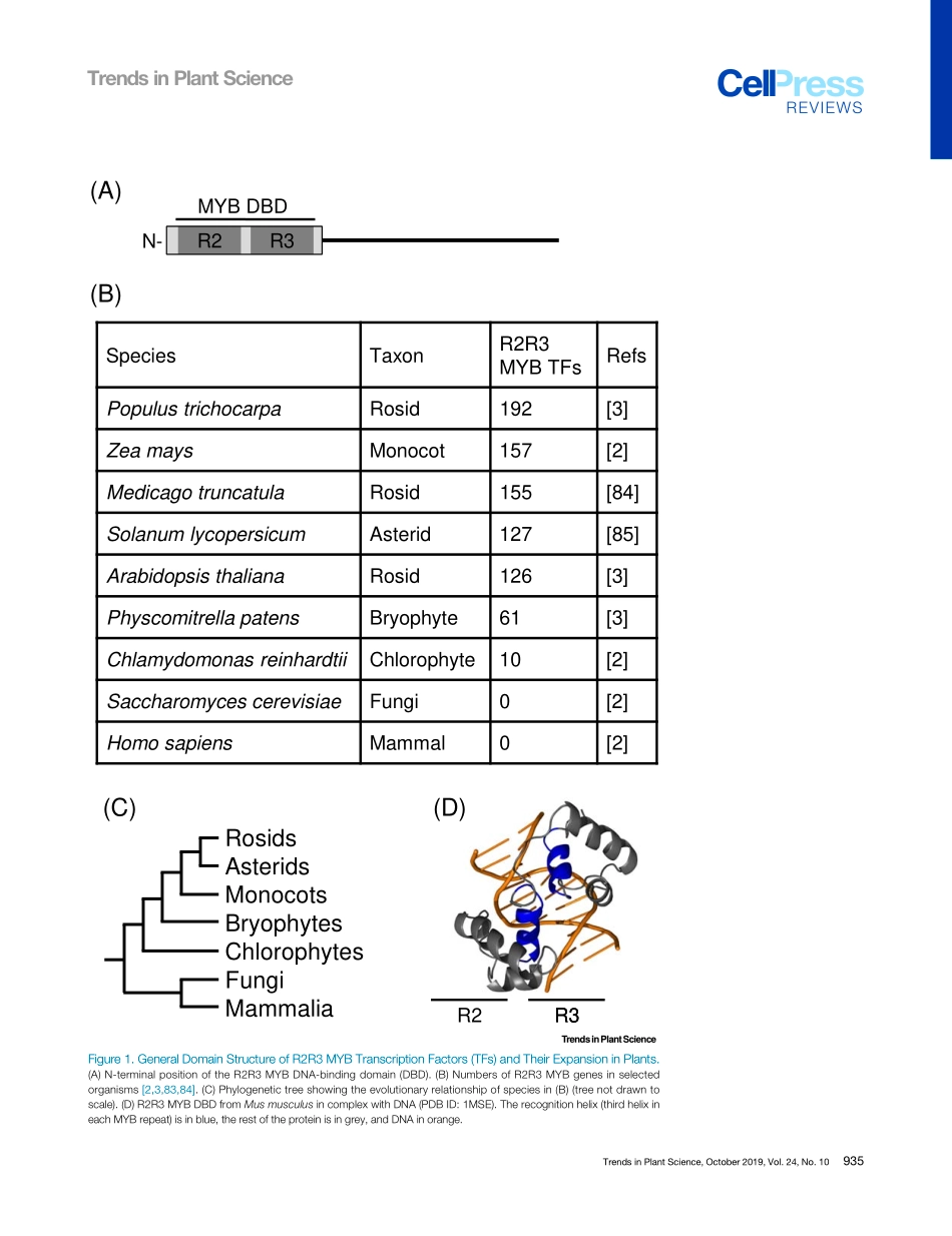 R2R3 MYB Transcription Factors-Functions outsi.pdf_第2页