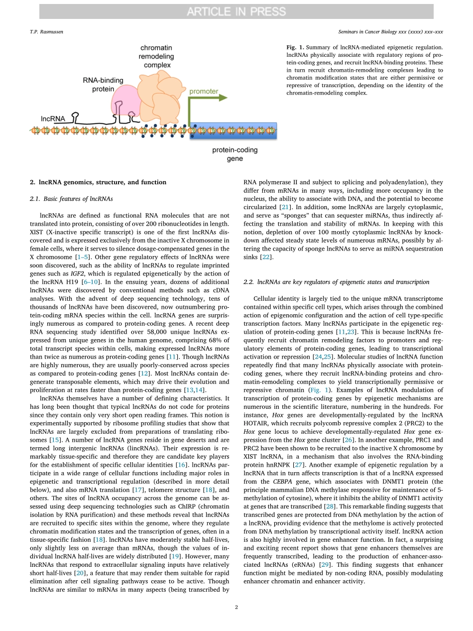 Rasmussen-2018-Parallels between artificial re.pdf_第2页