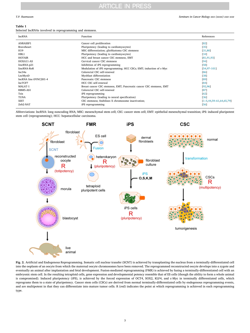 Rasmussen-2018-Parallels between artificial re.pdf_第3页