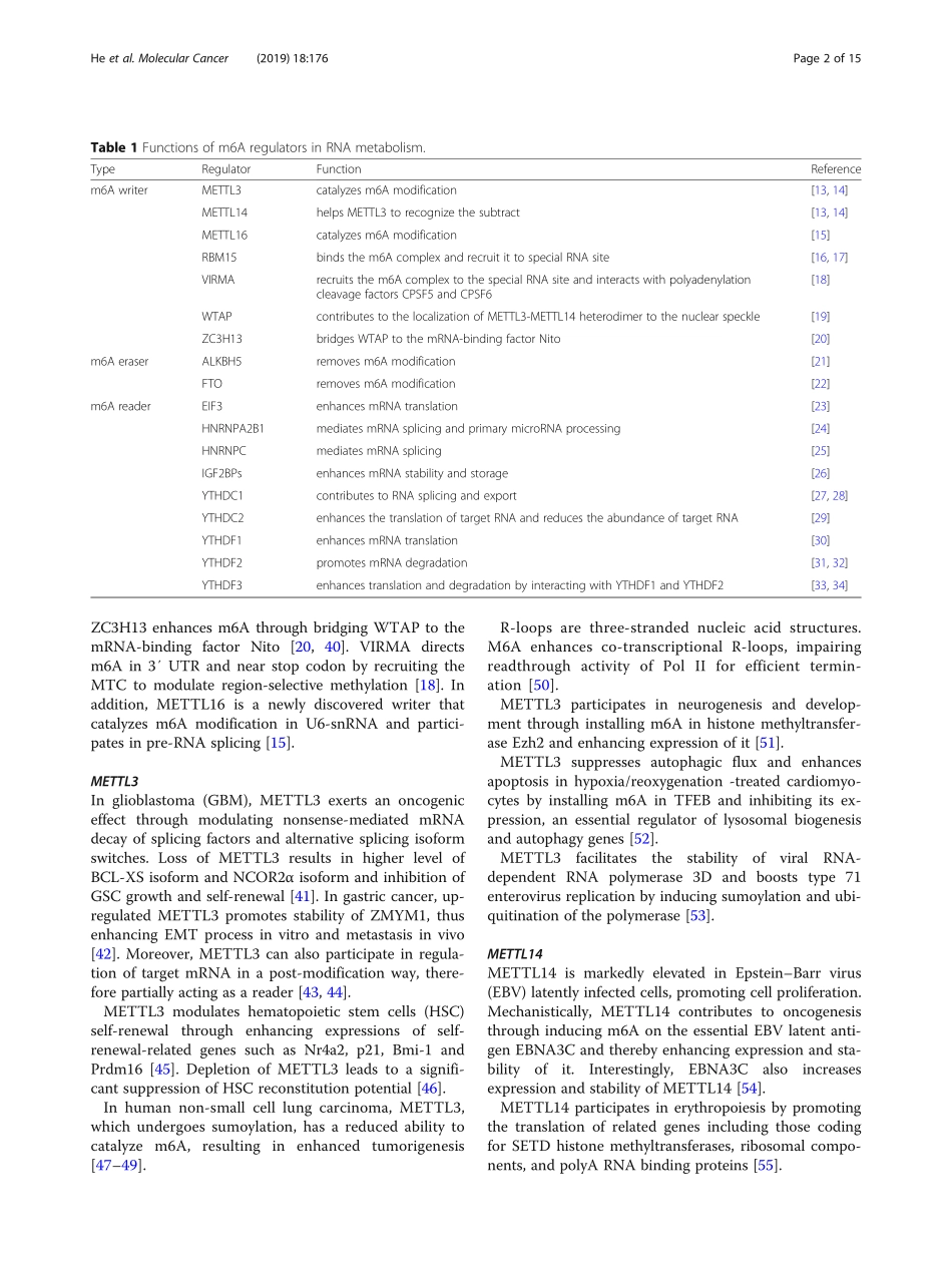 Functions of N6-methyladenosine and its role i.pdf_第2页