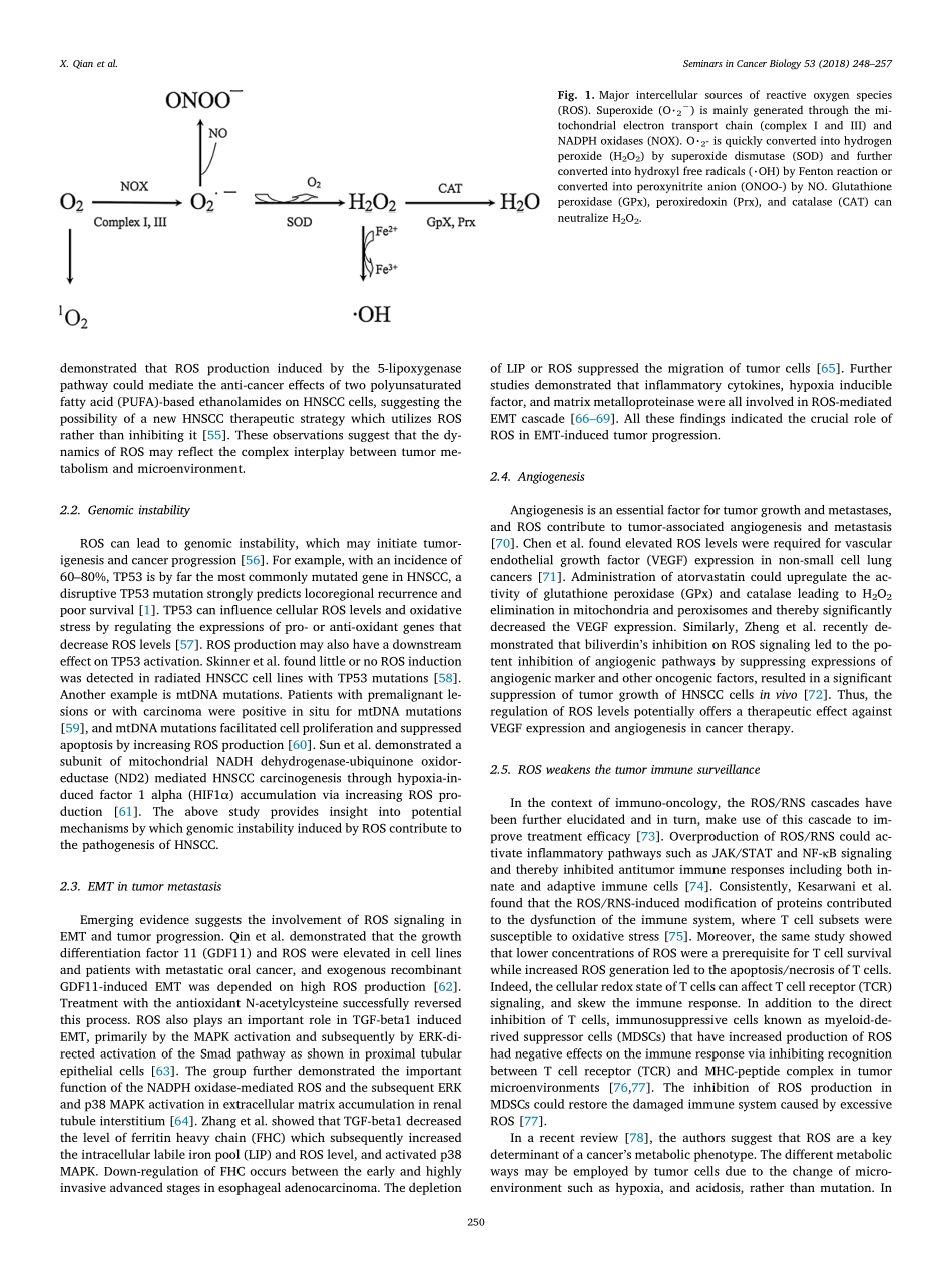 Qian-2018-Reactive oxygen species in cancer st.pdf_第3页
