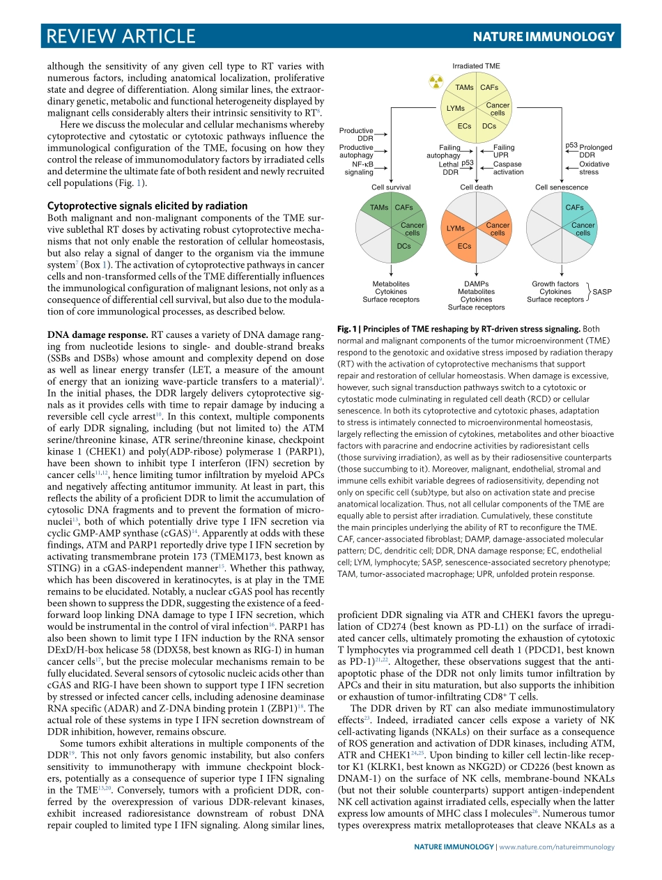 Immunological impact of cell death signaling d.pdf_第2页