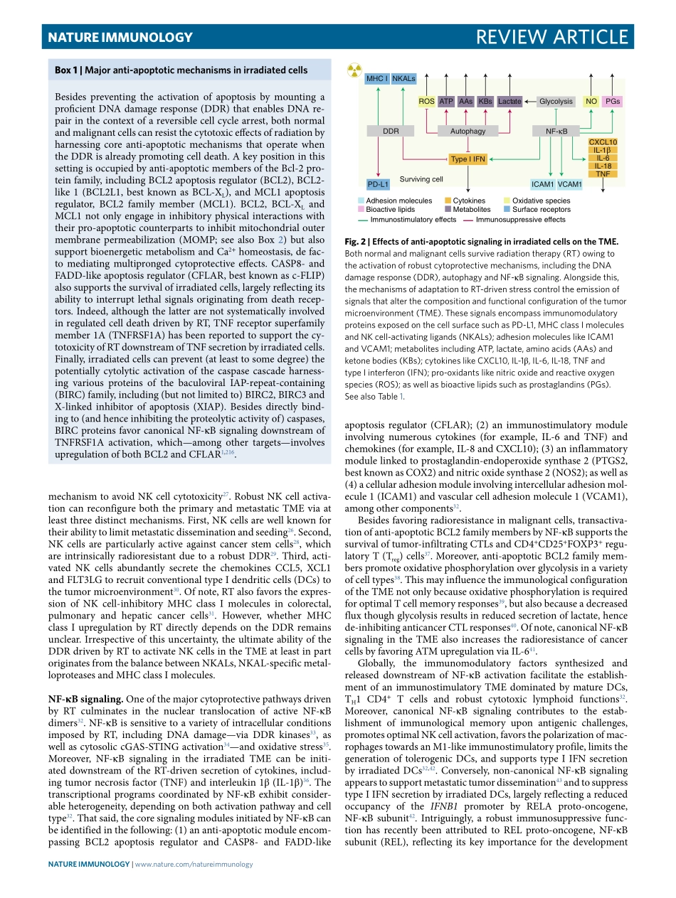 Immunological impact of cell death signaling d.pdf_第3页