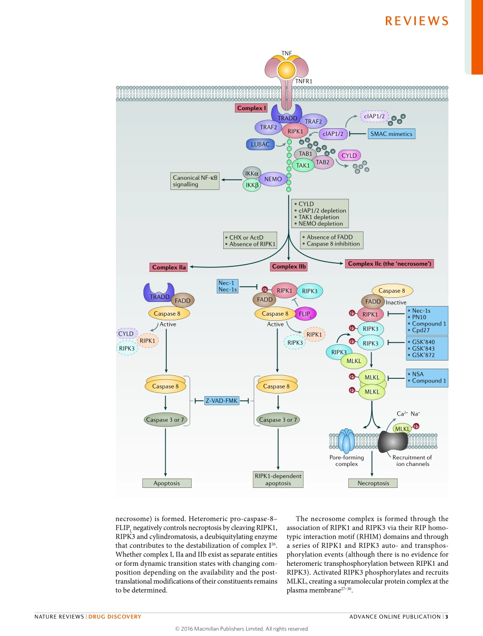 Regulated necrosis-disease relevance and therapeutic opportunities.pdf_第3页