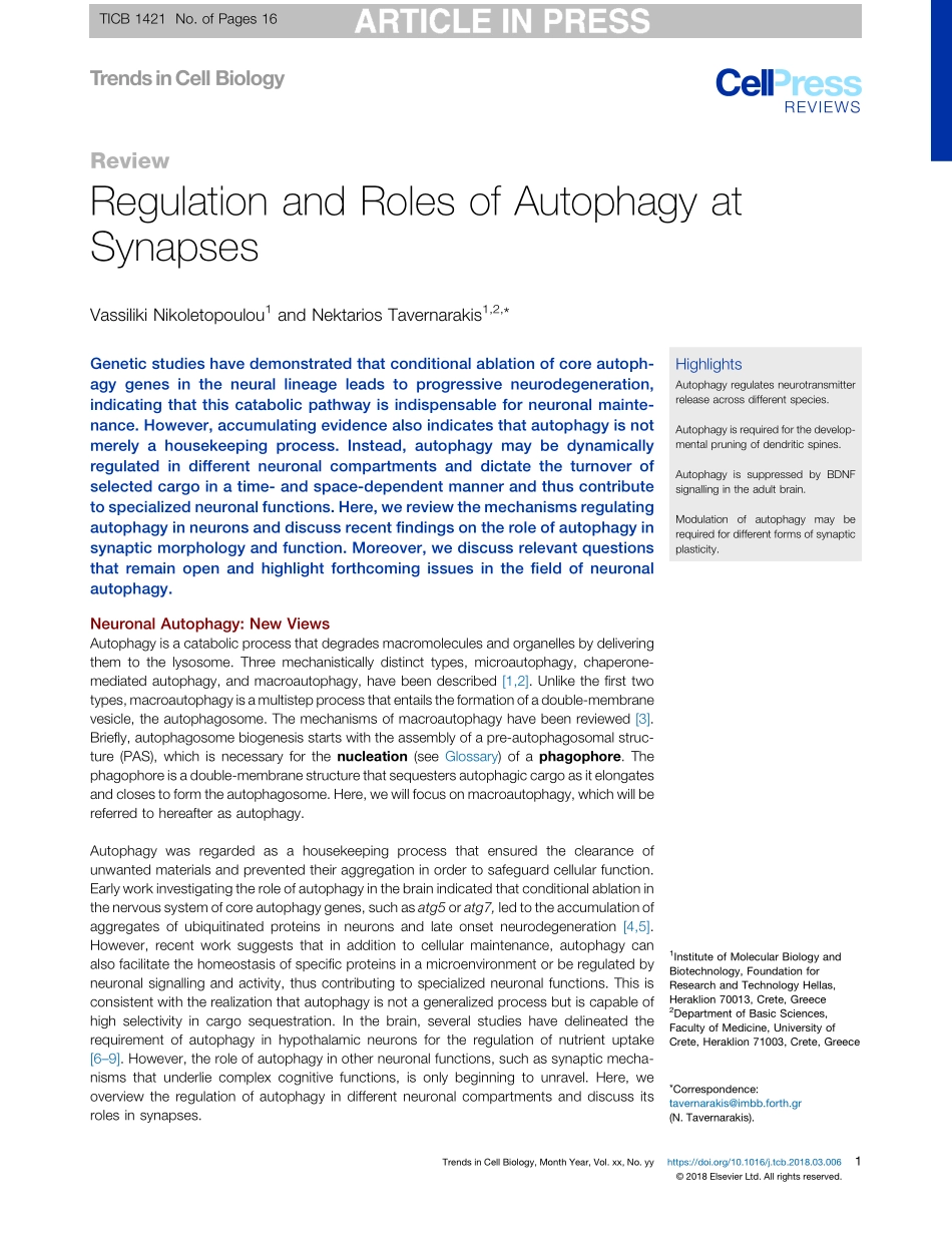 Regulation and Roles of Autophagy at Synapses.pdf_第1页