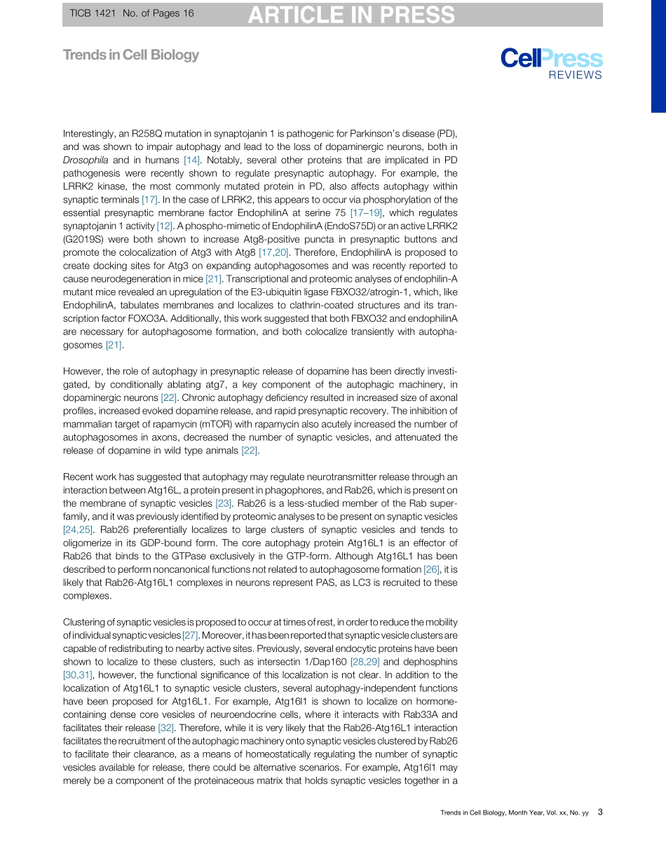 Regulation and Roles of Autophagy at Synapses.pdf_第3页