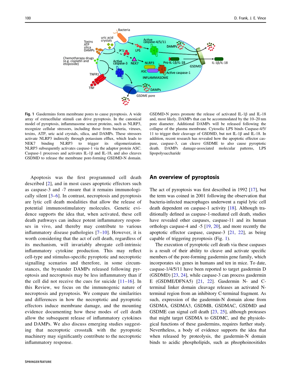 Pyroptosis versus necroptosis similarities, di.pdf_第2页