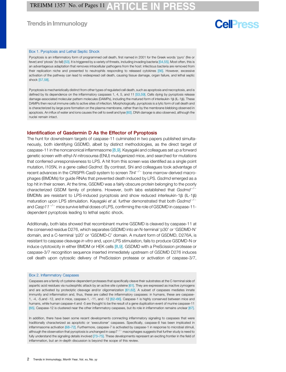 Recent Insights into the Molecular Mechanisms Underlying Pyroptosis and Gasdermin Family Functions.pdf_第2页
