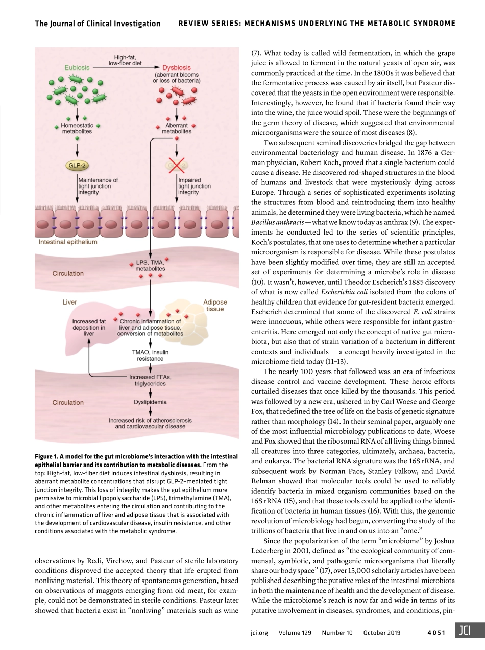 The gut microbiome and metabolic syndrome .pdf_第2页