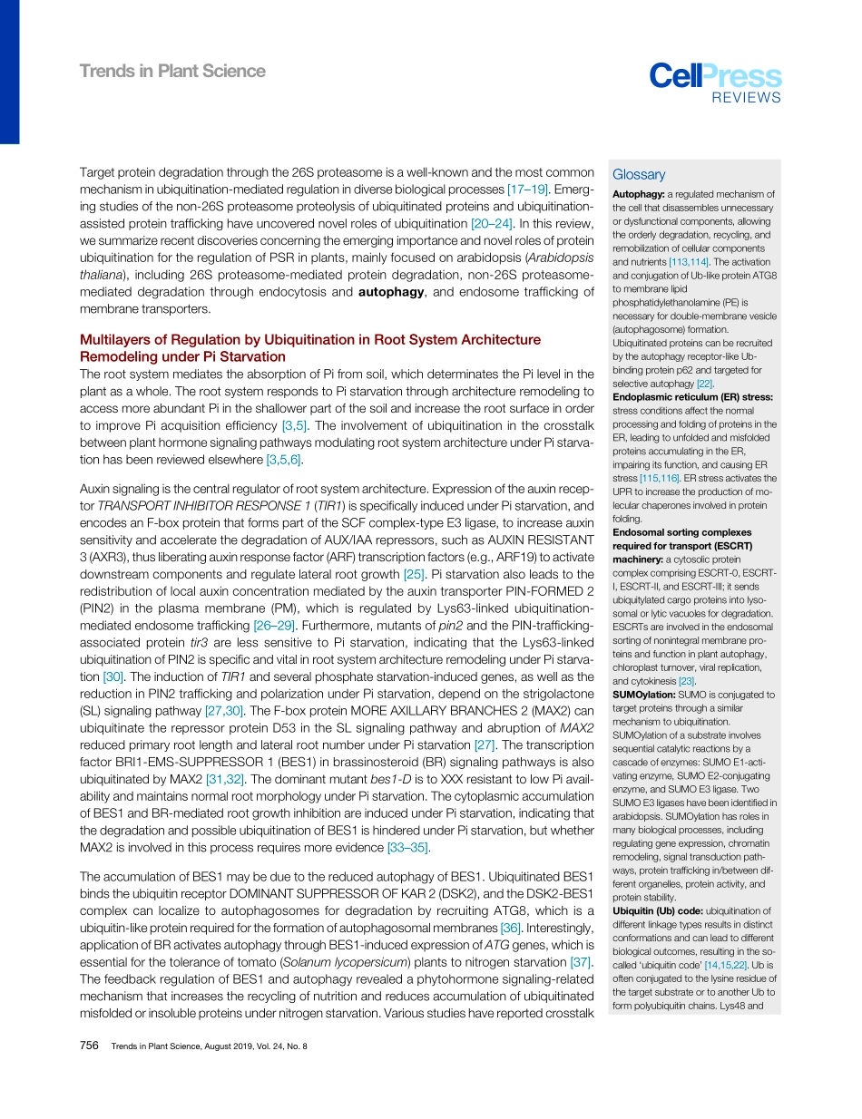 Regulation of Ubiquitination Is Central to the.pdf_第2页