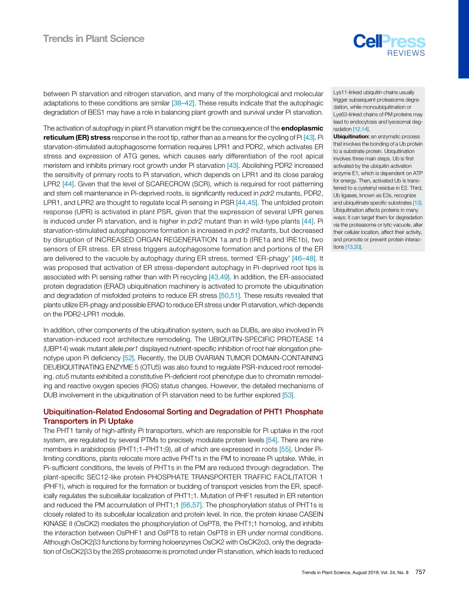 Regulation of Ubiquitination Is Central to the.pdf_第3页