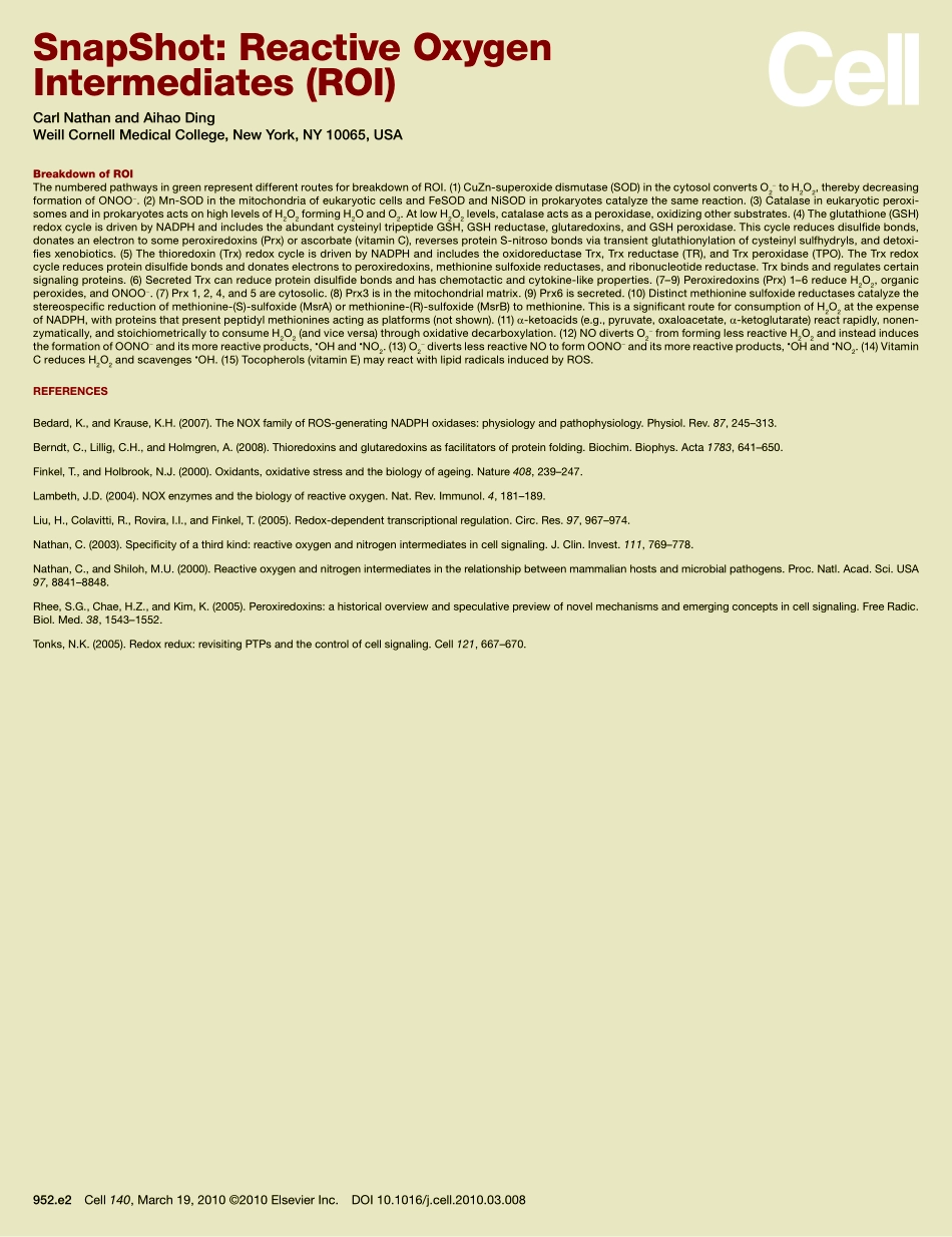 Reactive Oxygen Intermediates (ROI).pdf_第3页