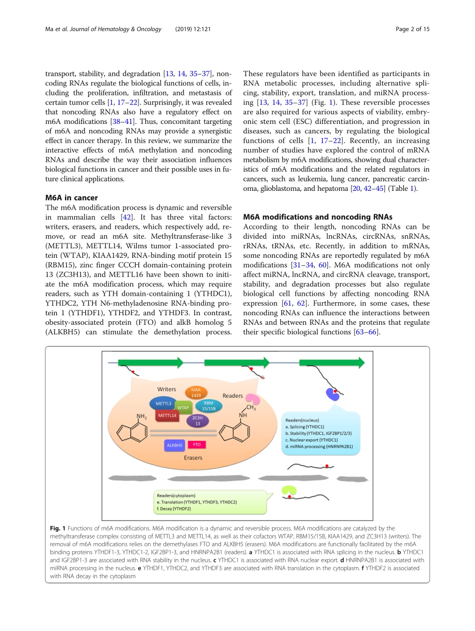The interplay between m6A RNA methylation and.pdf_第2页