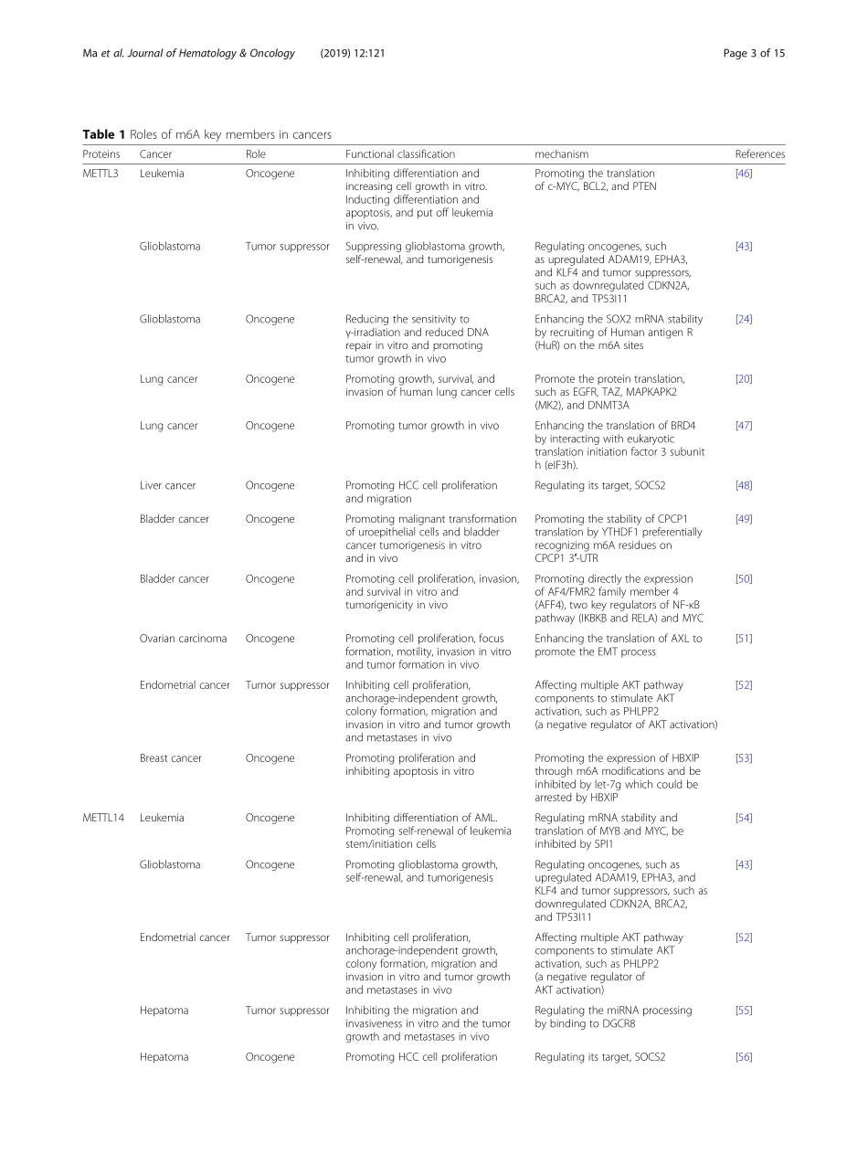 The interplay between m6A RNA methylation and.pdf_第3页