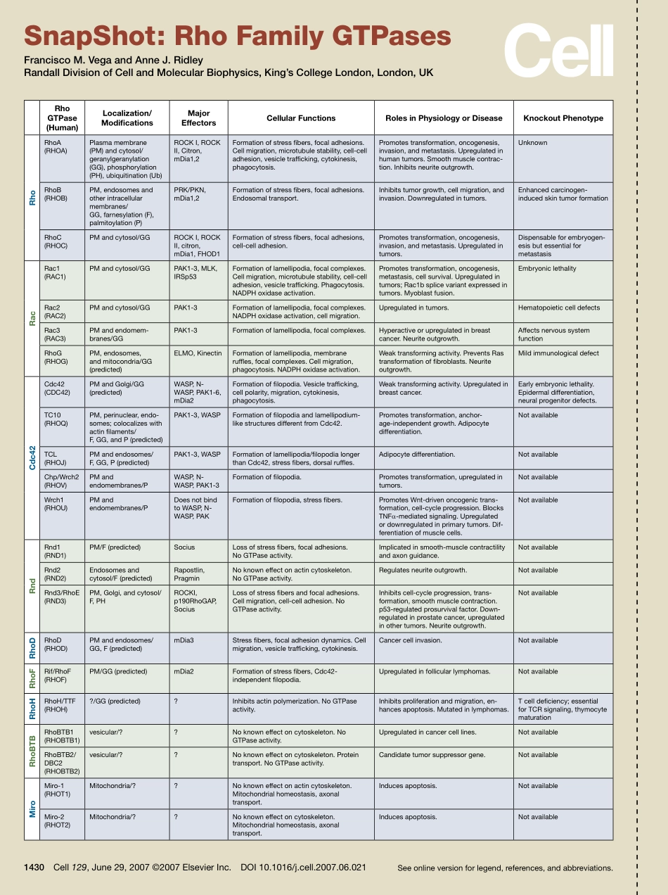 Rho Family GTPases.PDF_第1页
