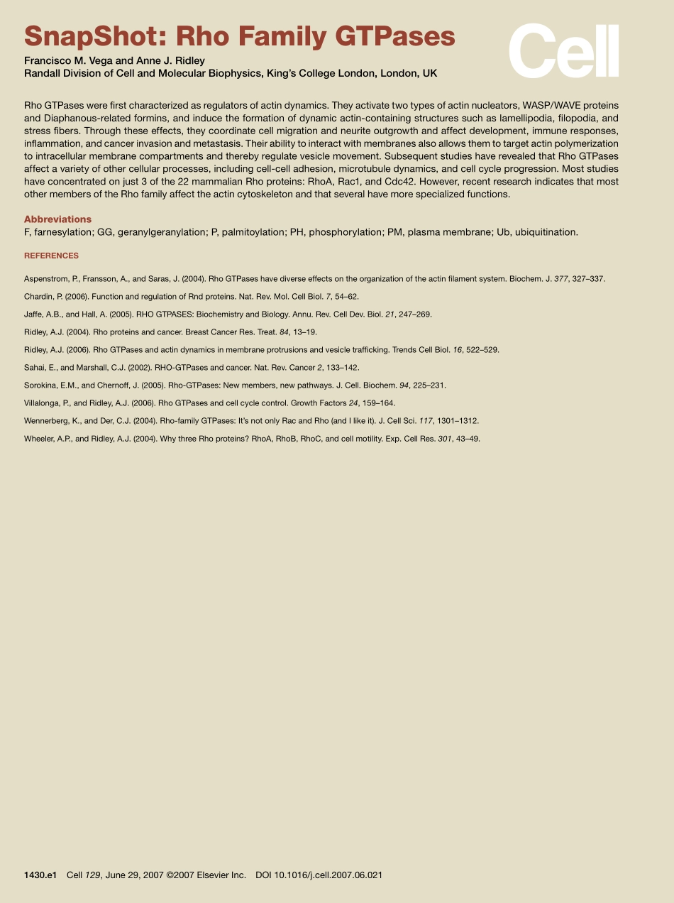 Rho Family GTPases.PDF_第2页