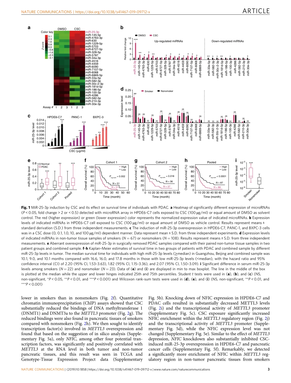 PMID：31015415.pdf_第3页