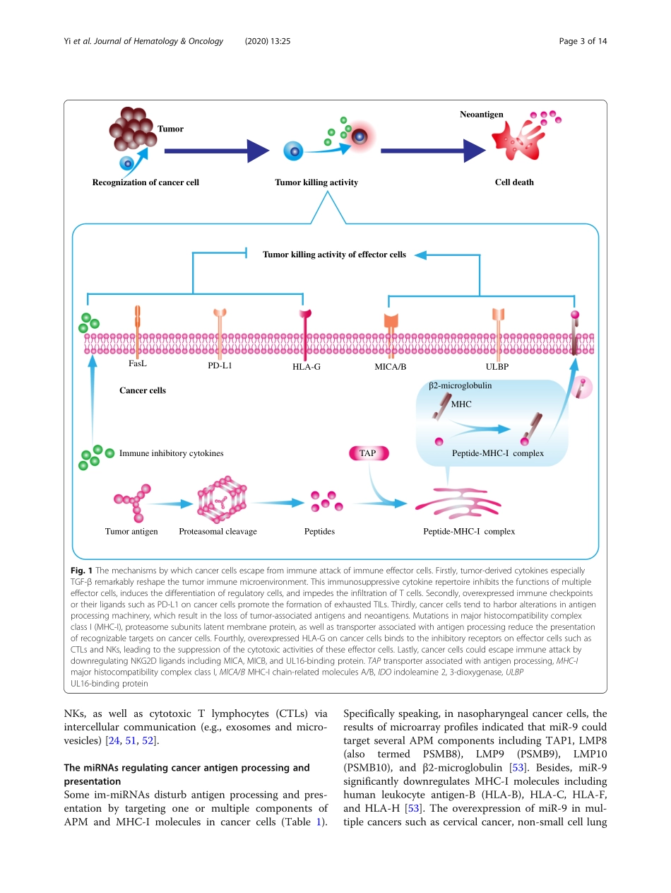 The role of cancer-derived microRNAs in cancer.pdf_第3页