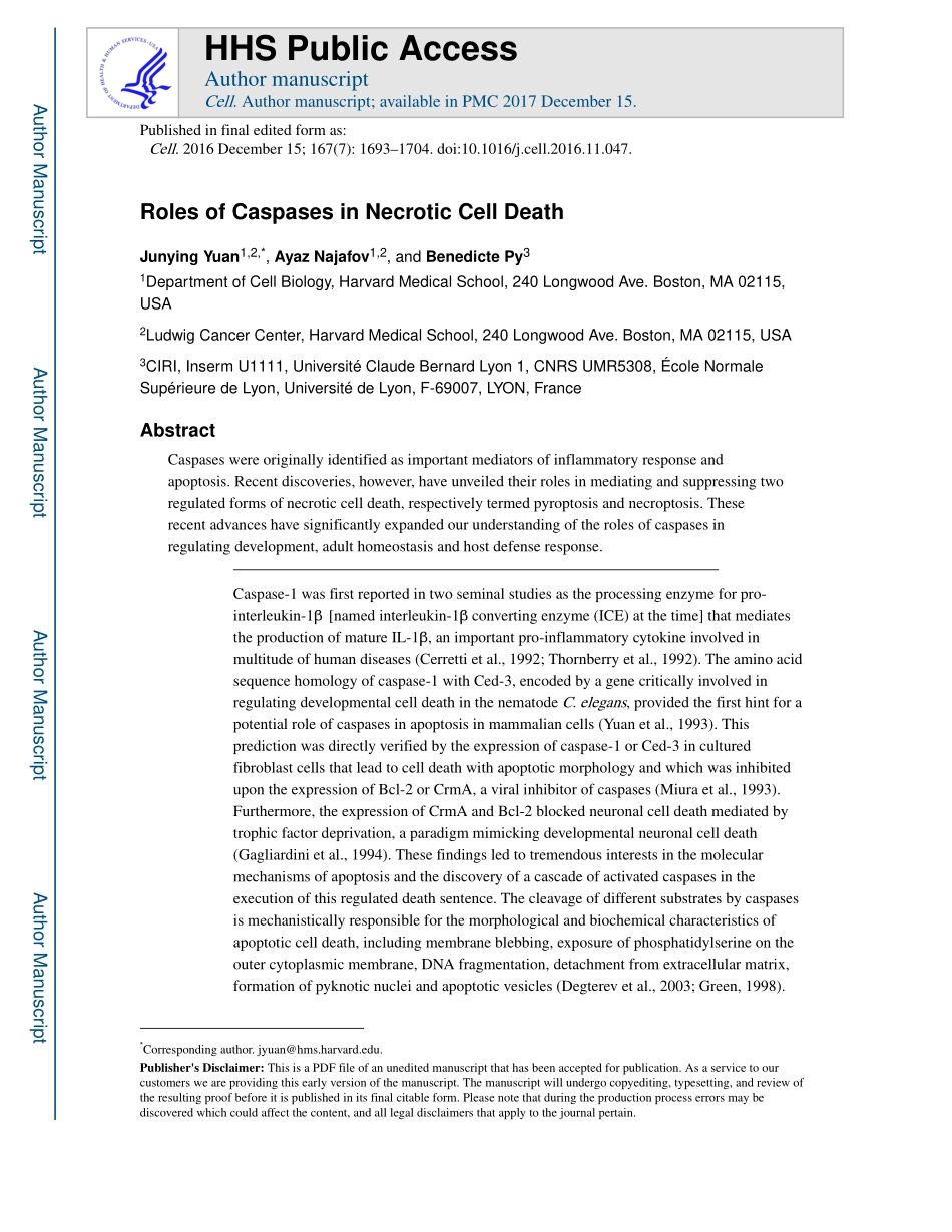 Roles of Caspases in Necrotic Cell Death.pdf_第1页
