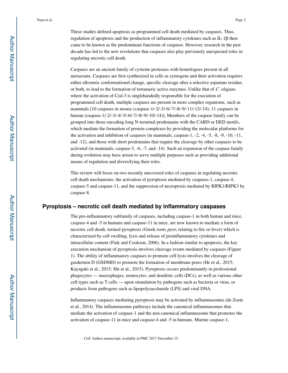Roles of Caspases in Necrotic Cell Death.pdf_第2页