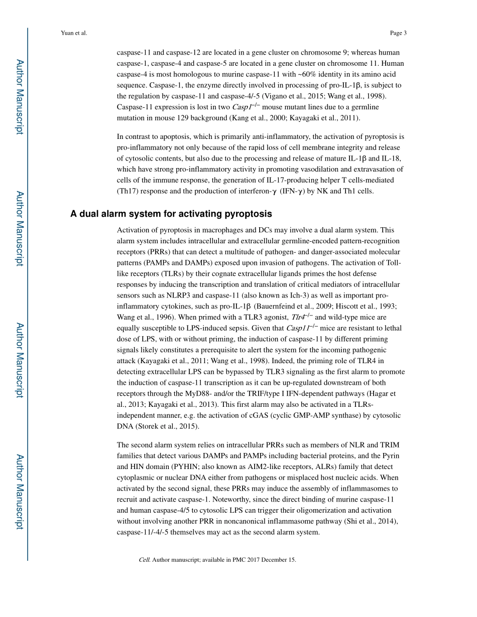 Roles of Caspases in Necrotic Cell Death.pdf_第3页