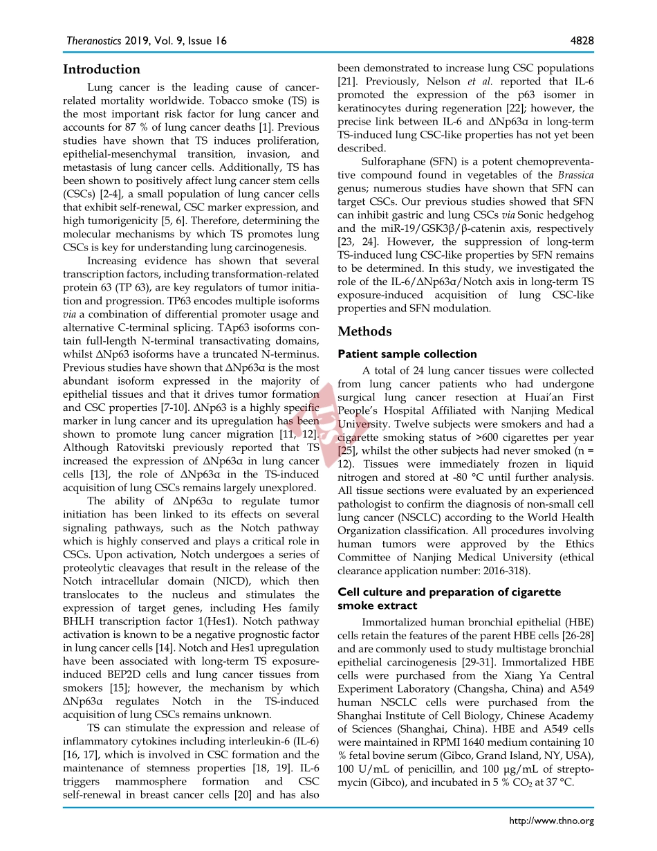 PMID：31367260.pdf_第2页