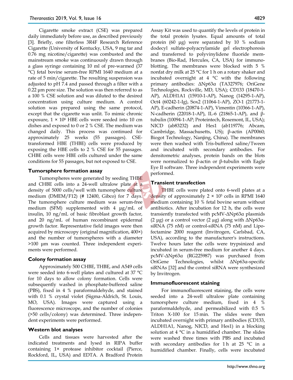 PMID：31367260.pdf_第3页