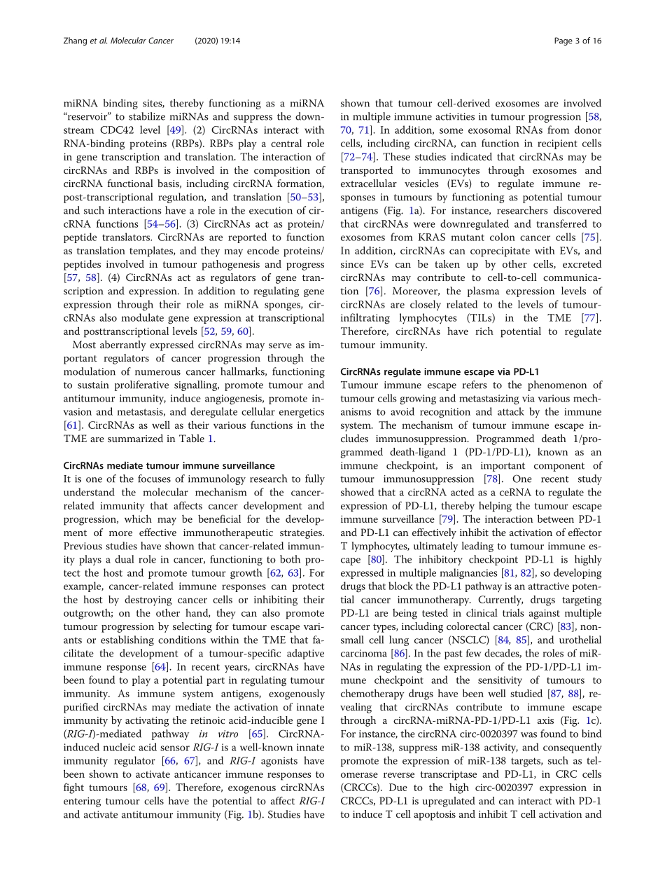 Roles of circRNAs in the tumour microenvironme.pdf_第3页
