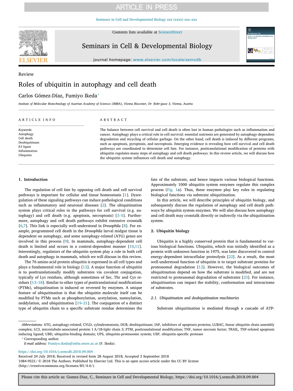 Roles of ubiquitin in autophagy and cell death.pdf_第1页