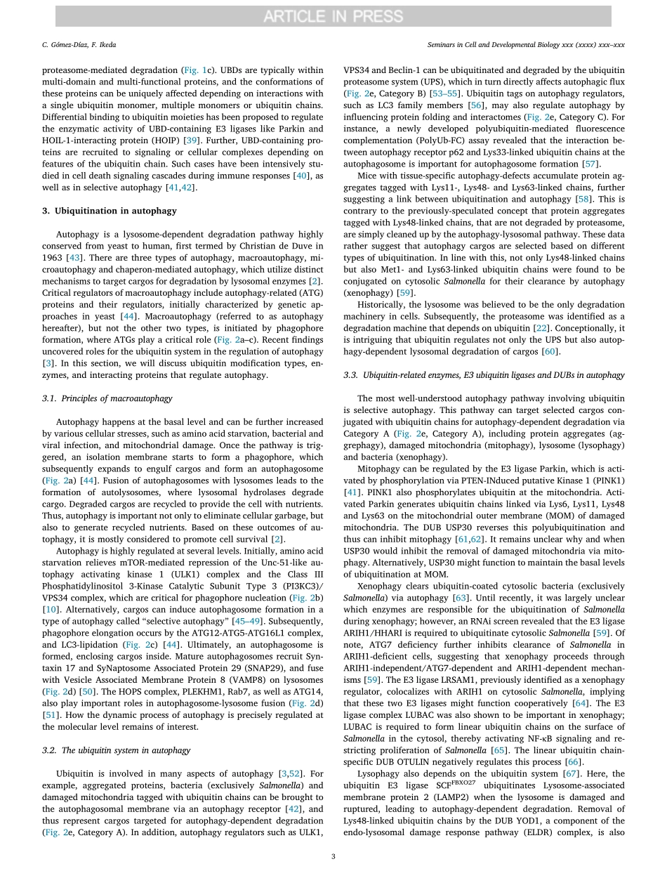 Roles of ubiquitin in autophagy and cell death.pdf_第3页