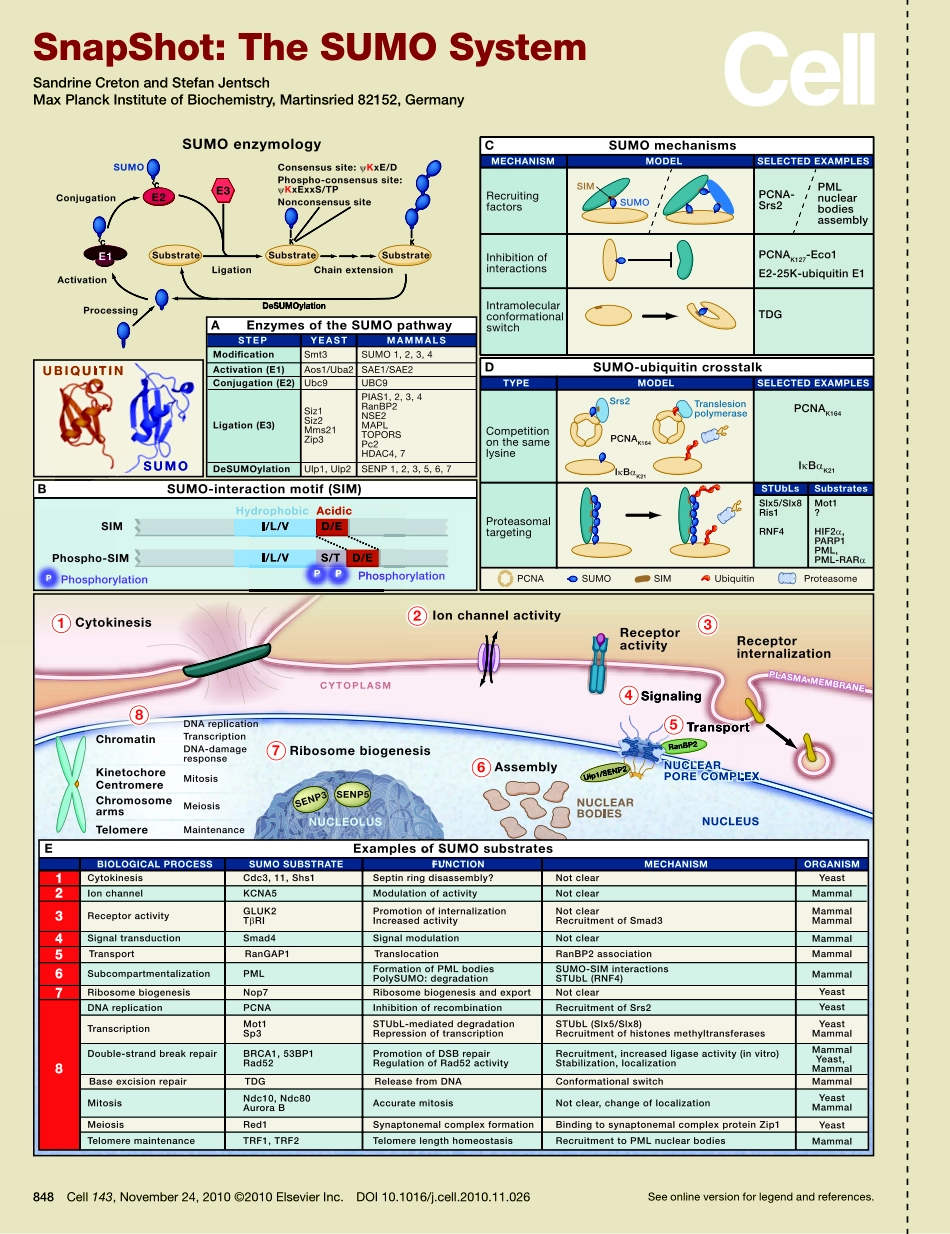 The SUMO System.PDF_第1页