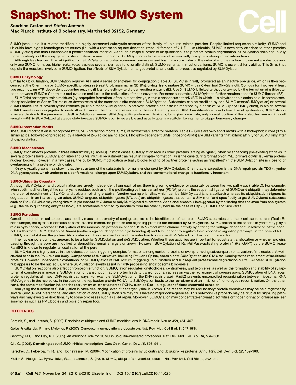 The SUMO System.PDF_第2页