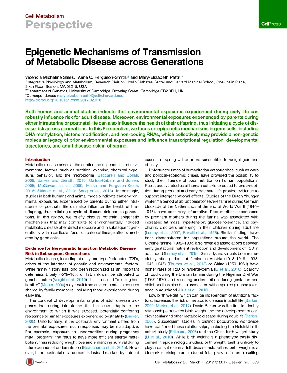 Sales-2017-Epigenetic Mechanisms of Transmissi.pdf_第1页