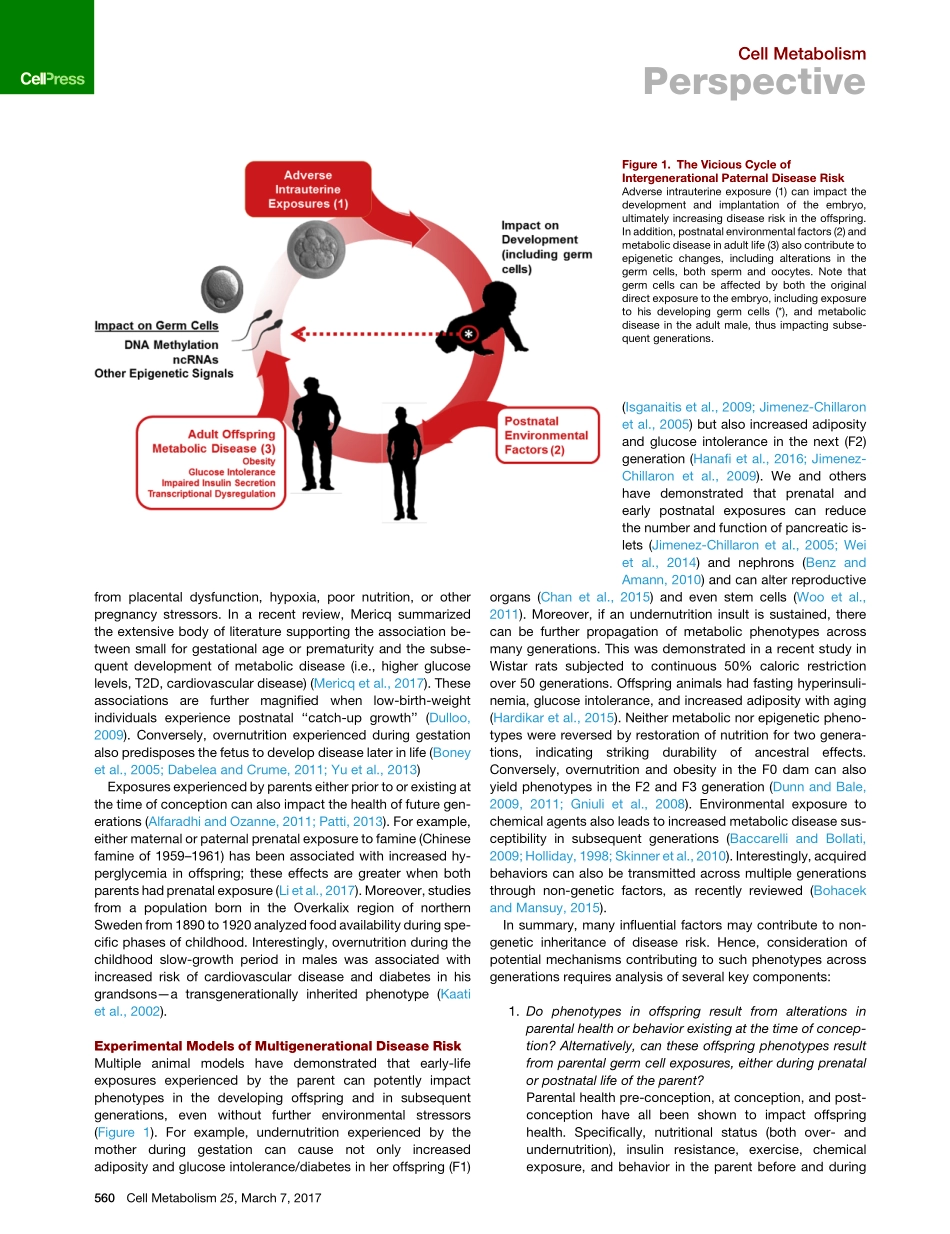 Sales-2017-Epigenetic Mechanisms of Transmissi.pdf_第2页